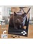 Asil Hobi British Shorthair - Sevimli Kedi -Hayvan Yapboz - Ayak Destekli Çerçeveli 240 Parça Puzzle 2