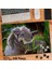 Asil Hobi Koala - Anne ve Bebek Koala -Ağaç -Hayvan Yapboz -Ayak Destekli Çerçeveli 240 Parça Puzzle 1