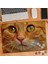Yakın Çekim Sarı Tüylü Kedi 240 Parça Puzzle YAPBOZ-75471 1