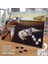 Asil Hobi Salvador Dali - Eriyen Saatler Yapboz - Ayak Destekli Çerçeveli 240 Parça Puzzle 2