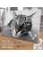 Asil Hobi Dikkatle Bakan Kedi - Sevimli Hayvanlar Yapboz -Ayak Destekli Çerçeveli 240 Parça Puzzle 2