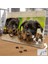 Labrador Retriever Siyah Yavru Köpekler 240 Parça Puzzle YAPBOZ-1785760 2