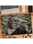 Asil Hobi Dalların Arasında Duran Kedi - Hayvan Yapboz -Ayak Destekli Çerçeveli 240 Parça Puzzle 1