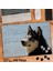 Asil Hobi Husky - Köpek - Vahşi Yaşam - Hayvan Yapboz -Ayak Destekli Çerçeveli 240 Parça Puzzle 1