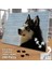 Asil Hobi Husky - Köpek - Vahşi Yaşam - Hayvan Yapboz -Ayak Destekli Çerçeveli 240 Parça Puzzle 2