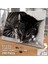 Asil Hobi Uyuyan Sevimili Kedi - Cat - Masum-Hayvan Yapboz -Ayak Destekli Çerçeveli 240 Parça Puzzle 2