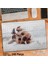 Asil Hobi Yorkshire - Terrier - Süs Köpeği -Hayvan Yapboz -Ayak Destekli Çerçeveli 240 Parça Puzzle 1