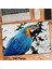 Asil Hobi Papağan - Kuş - Amazon - Tabiat - Hayvan Yapboz -Ayak Destekli Çerçeveli 240 Parça Puzzle 1