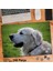 Asil Hobi Retriever-Sevimli -Mutlu - Köpek -Hayvan Yapboz -Ayak Destekli Çerçeveli 240 Parça Puzzle 1
