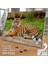 Asil Hobi Kaplan - Vahşi Yaşam - Hayvan - Amazon Yapboz-Ayak Destekli Çerçeveli 240 Parça Puzzle 2