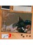 Masada Uyuyan Güzel Kedi 240 Parça Puzzle Yapboz TABLO-3716 1