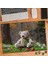 Yapraklar Arasında Sevimli Ayıcık 240 Parça Puzzle YAPBOZ-75263 1