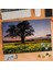Çiçekli Ağaçlı Manzara, Doğa 240 Parça Puzzle Yapboz TABLO-617 1