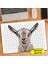Dil Çıkaran Keçi 240 Parça Puzzle Yapboz TABLO-104562196 1