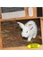 Sevimli Hayvan Beyaz Tavşan 240 Parça Puzzle YAPBOZ-112057099 1