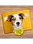 Sevimli Hayvan - Köpek Çocuklara Özel Puzzle Yapboz TABLO-64825 1