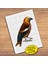 Minik Serçe - Kuş Çocuklara Özel Puzzle Yapboz TABLO-80773 1