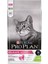 Delicate Kuzu Etli Kedi Maması 1,5 kg 1