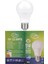 9W LED Ampul 6500K 1