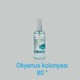 Voyage 2 Adet 100 ml Okyanus (Ocean Blu) Parfümlü Kolonyası