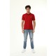  Renk Bordo