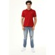  Renk Bordo