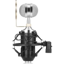 Leihao Ses Kayıt Mikrofonu (Yurt Dışından)