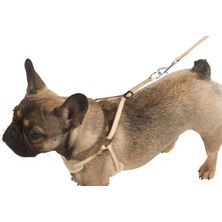 Kerbl Yavru Köpek Tasması Puppy Harness