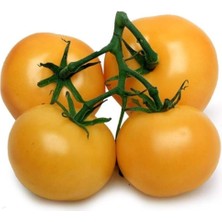Tohum Dünyam Nadir Ithal Iri Turuncu Domates Tohumu 5 Adet Tohum