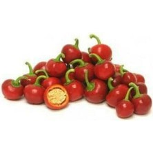 Tohum Dünyam Süper Paket 250 Adet Tohum Nadir Ithal Cherry Kiraz Biberi Tohumu Biber Tohumu