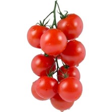 Tohum Dünyam Erkenci Beşdeli Salkım Domates Tohumu 10 Adet Tohum