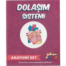 hobi24 Dolaşım Sistemi  Anatomi Set
