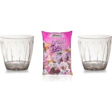2 Adet 1.5 Litre Şeffaf Orkide Saksı ve 3 Litre Orkide Toprağı