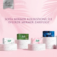 Sofia Kutu Mendil 100 Yaprak 24 Paket