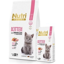 Apg Nutri Feline Kitten Yavru Tahılsız Kedi Maması 2 kg