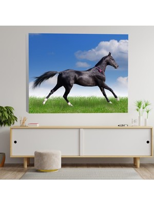 Deko Gonya Siyah At Kanvas Tablo