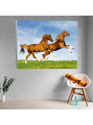 Deko Gonya Yarış Yapan Güzel Atlar Kanvas Tablo