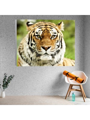 Deko Gonya Siyah Anne At Kanvas Tablo