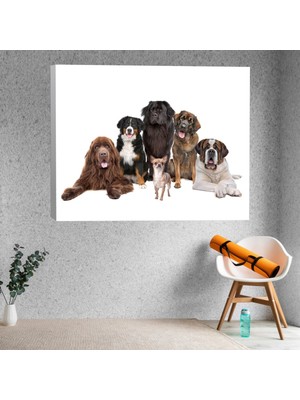 Deko Gonya Köpek Kardeşliği Temalı Kanvas Tablo