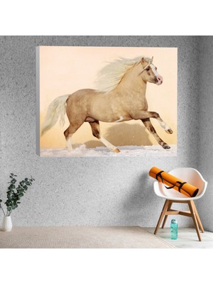 Deko Gonya Sarı Laleler Kanvas Tablo