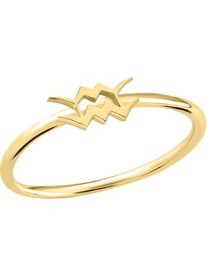 Engingold 14 Ayar Altın Kova Burç Yüzük