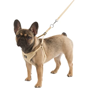 Yavru Köpek Tasması Puppy Harness