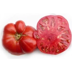 Tohum Dünyam Süper Paket 400 Adet Tohum Geleneksel Ankara Ayaş Domatesi Tohumu Domates Tohumu