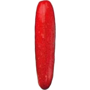 Tohum Dünyam Nadir Ithal Kırmızı Salatalık Tohumu 5 Adet Tohum Red Cucumber