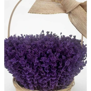 Tohum Dünyam 10 Adet Bodur Ingiliz Lavantası Kokulu Çiçek Tohumu