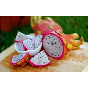 Tohum Dünyam Tropikal Beyaz Ejder Meyvesi 10+Tohum