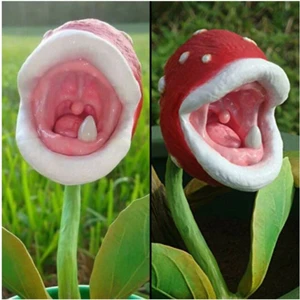 Tohum Dünyam Etçil Etobur Sinek Kapan Bitkisi Tohumu 5 Adet Tohum