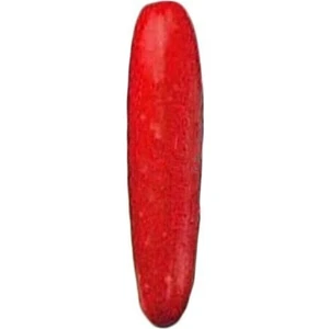 Tohum Dünyam Nadir Ithal Kırmızı Salatalık Tohumu 5 Adet Tohum Red Cucumber