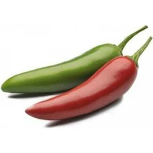 Tohum Dünyam Ithal Jalapeno Kırmızı Acı Meksika Biberi Tohumu 5 Adet Tohum
