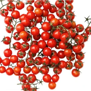 Tohum Dünyam Minik Bezelye Cherry Domates 10 Tohum